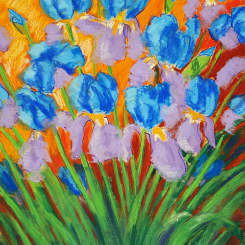 Vibrant Irises